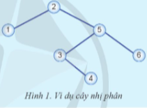 Em hãy đưa ra danh sách giá trị khóa các nút ở cây nhị phân (Hình 1) trong phép duyệt cây theo thứ tự giữa và nhận xét đặc điểm của cây nhị phân cùng danh sách được đưa ra này. (ảnh 1)