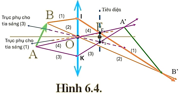 Tìm hiểu và vẽ ảnh của vật sáng AB không vuông góc với trục chính của thấu kính ở hình 6.4. (ảnh 2)