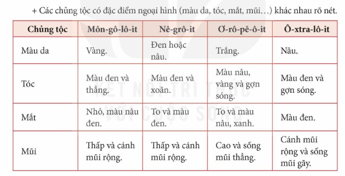 Đọc thông tin và quan sát hình 1, em hãy:  - Kể tên các chủng tộc chính trên thế giới.  - Mô tả những nét chính về ngoại hình của các chủng tộc trên thế giới (màu da, tóc, mắt,...). (ảnh 2)