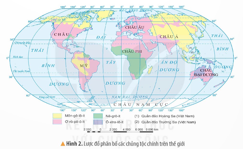 Đọc thông tin và quan sát hình 2, em hãy trình bày sự phân bố của các chủng tộc chính trên thế giới. (ảnh 1)