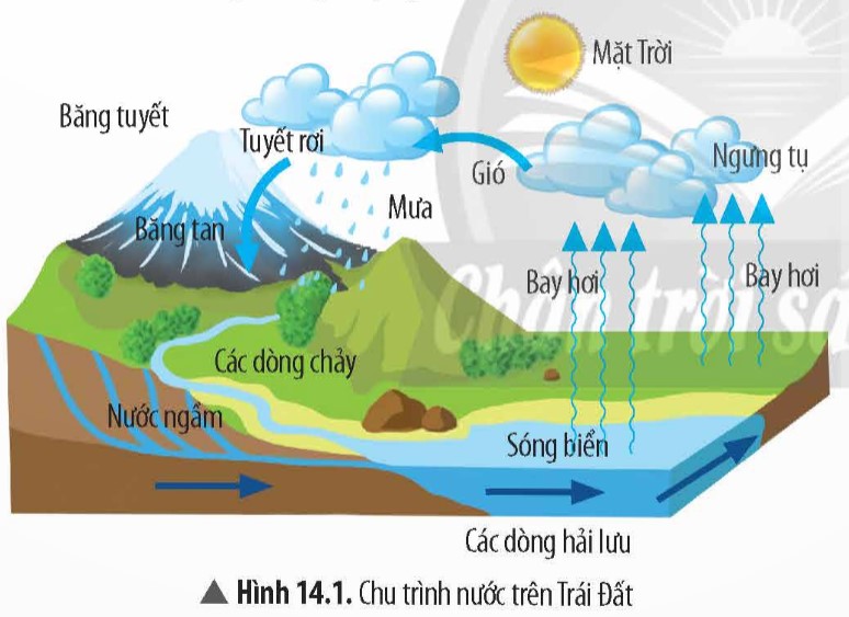 Mô tả sự chuyển hóa năng lượng trong chu trình nước (Hình 14.1). Nêu rõ vai trò của Mặt Trời trong chu trình này. (ảnh 1)