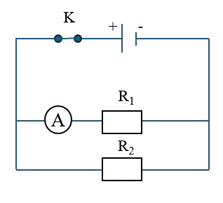 Mạch điện gồm một nguồn điện, một công tắc, hai điện trở giống nhau mắc song song. Một ampe kế được mắc nối tiếp với một điện trở vào một mạch nhánh. Em hãy vẽ sơ đồ của mạch điện này. Nếu số chỉ của ampe kế là 0,2 A thì cường độ dòng điện trong mạch chính là bao nhiêu? (ảnh 1)