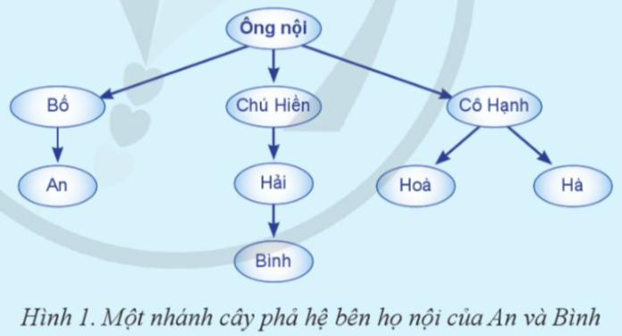 Em hãy quan sát một nhánh cây phả hệ ở Hình 1 và cho biết Bình phải xưng hô với An như thế nào? (ảnh 1)