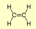 Phát biểu sau đúng hay sai? Ethylene có công thức cấu tạo: H−C≡C−H. Trong phân tử ethylene có một liên kết ba giữa hai nguyên tử carbon. (ảnh 1)