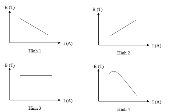 Đồ thị nào sau đây thể hiện tốt nhất kết quả của nghiên cứu 3? (ảnh 1)