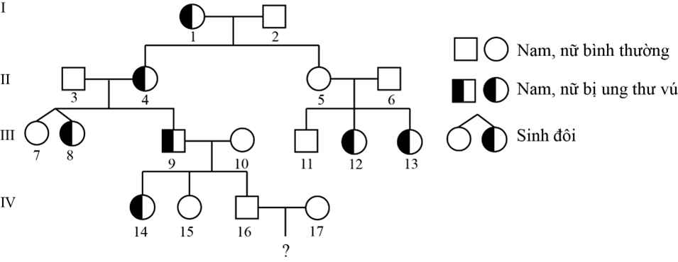 Cho sơ đồ phả hệ sau (ảnh 1)