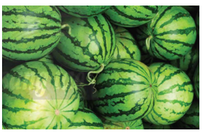 Bác Mai cân các quả dưa trong cửa hàng và ghi lại cân nặng (đơn vị: kg) của từng quả như sau: (ảnh 1)