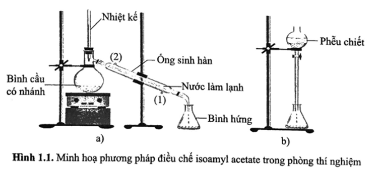 Quan sát hình sau.  Cho các phát biểu liên quan tới Hình 1.1 như sau: (ảnh 1)