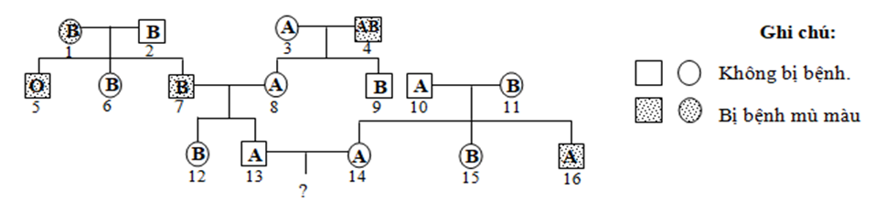 Sơ đồ phả hệ hình bên mô tả sự di truyền 2 tính trạng ở người (ảnh 1)