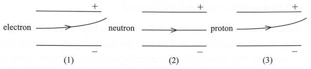 Hình vẽ nào sau đây mô tả đúng các đường đi của các hạt electron, neutron hoặc proton dưới tác dụng của điện trường trong chân không? (ảnh 1)