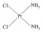 Phức chất có công thức [PtCl2(NH3)2] có cấu tạo như hình bên:  Phát biểu nào dưới đây về phức chất trên là không đúng? (ảnh 1)