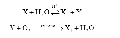 Một số ester đơn chức mạch hở, đồng phân cấu tạo của nhau, phân tử có phần trăm khối lượng các nguyên tố C, H, O lần lượt là 54,54%; 9,10% và 36,36%. Phát biểu nào sau đây về các ester trên là không đúng? (ảnh 1)