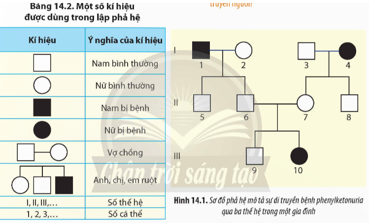 Từ thông tin ở Bảng 14.2 và Hình 14.1, hãy cho biết: a) Cách xây dựng một sơ đồ phả (ảnh 1)