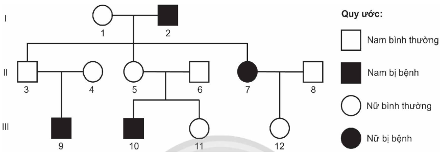 Ở người, bệnh mù màu đỏ - lục do gene lặn nằm trên vùng không tương đồng của  (ảnh 1)