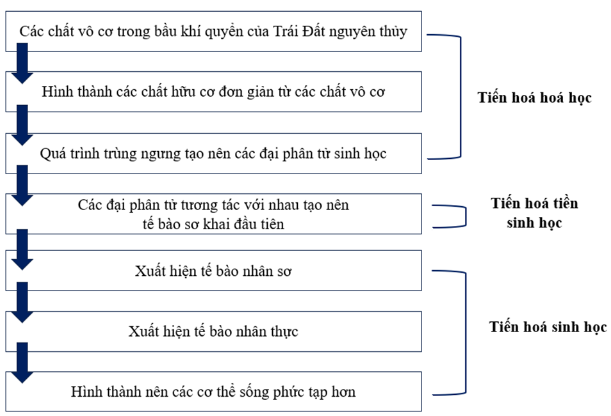 Hãy vẽ sơ đồ đơn giản, tóm lược các giai đoạn chính của quá trình phát sinh sự sống trên Trái Đất. (ảnh 1)