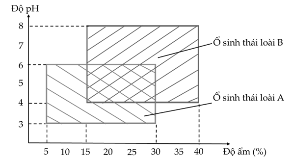 Khi tìm hiểu về tác động của độ ẩm và độ pH của đất lên hai loài thực vật A và B  (ảnh 1)