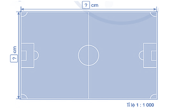 Quan sát hình vẽ sơ đồ sân bóng và cho biết: (ảnh 1)