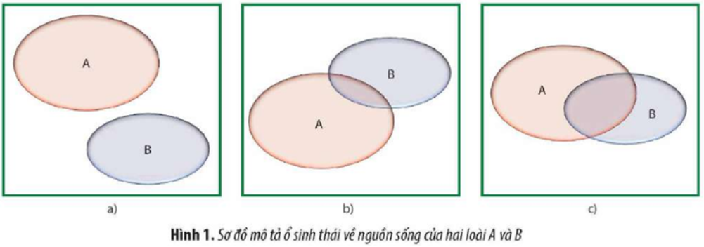 Hình 1 mô tả ổ sinh thái về nguồn sống của hai loài A và B. Cho biết mức độ cạnh tranh giữa loài A và loài B trong mỗi trường hợp. Giải thích. (ảnh 1)