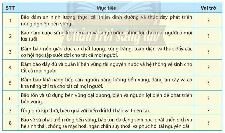 Việt Nam đã xây dựng Kế hoạch hành động quốc gia hướng tới các mục tiêu phát triển bền vững (ảnh 1)