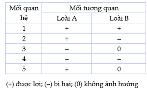 Các loài trong quần xã thường có mối quan hệ gắn bó mật thiết với nhau  (ảnh 1)