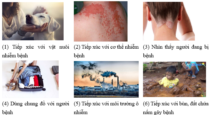 Cho hành động sau:  	 	  (1) Tiếp xúc với vật nuôi nhiễm bệnh	(2) Tiếp xúc với cơ thể nhiễm bệnh	(3) Nhìn thấy người đang bị bệnh  	 	  (4) Dùng chung đồ với người bệnh	(5) Tiếp xúc với môi trường ô nhiễm	(6) Tiếp xúc với bùn, đất chứa nấm gây bệnh Số hành động gây lây truyền bệnh do nấm gây ra là :  (ảnh 1)