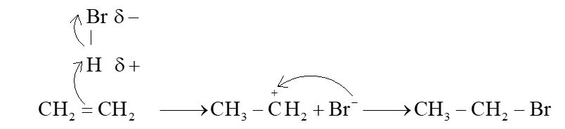 Trình bày cơ chế phản ứng khi cho ethylene tác dụng với HBr, với H2O (xúc tác H+). (ảnh 1)