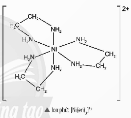 Đầu thế kỉ XX, các kết quả nghiên cứu vể cơ học lượng tử đã góp phẩn làm rõ hơn bản chẩt của liên kết hoá học trong các phân tử.  (ảnh 1)