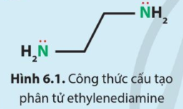 Để tạo thành phức chất bát diện, cation Co3+ nhận 6 cặp electron chưa liên kết từ các phối tử.  Quan sát Hình 6.1, hãy dự đoán cần bao nhiêu phân tử ethylenediamine để tạo phức chất với một cation Co3+. Giải thích. (ảnh 1)