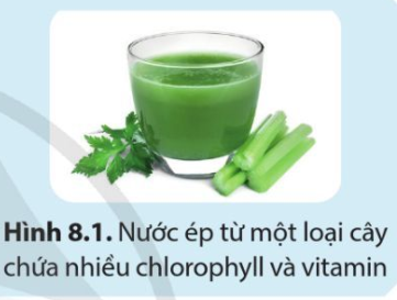 a) Chlorophyll (hay chất diệp lục) là phức chất có nhiều trong lá cây. Hãy cho biết vai trò của phức chất này đối với thực vật. b) Hãy nêu ứng dụng của một số phức chất mà em đã biết. (ảnh 1)