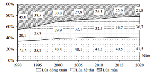 DIỆN TÍCH GIEO TRỒNG LÚA PHÂN THEO VỤ NƯỚC TA GIAI ĐOẠN 1990-2020 (%) (Nguồn: gso.gov.vn) Theo biểu đồ, nhận xét nào sau đây đúng về cơ cấu diện tích gieo trồng lúa phân theo vụ nước ta giai đoạn 1990-2020? (ảnh 1)