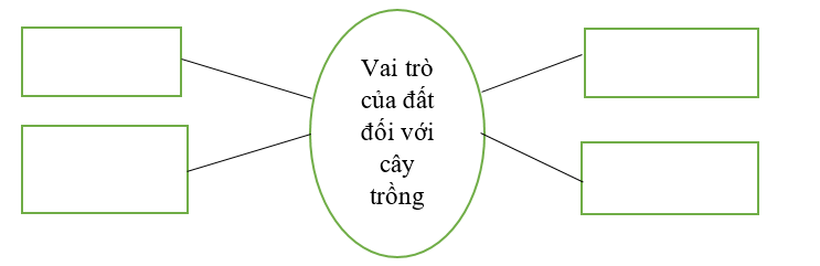 Điền vào chỗ trống dưới đây về vai trò của đất đối với cây trồng. (ảnh 1)