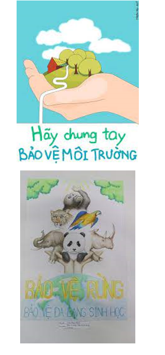 Vẽ tranh hoặc viết khẩu hiệu để vận đông mọi người cùng sống hòa (ảnh 1)