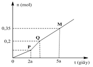Hỗn hợp X gồm Na2CO3, NaHCO3 và CuO. Cho X tác dụng vừa đủ với dung dịch HCl loãng, thu được dung dịch Y chứa các muối trung hòa và V lít khí CO2 (đktc). Tiến hành điện phân dung dịch Y với các điện cực trơ, màng ngăn xốp, dòng điện có cường độ không đổi. Tổng số mol khí thu được ở cả hai điện cực (n) phụ thuộc vào thời gian điện phân (t) được mô tả như đồ thị sau:  Biết rằng Na2CO3 chiếm 25% số mol hỗn hợp X, hiệu suất điện phân là 100%, bỏ qua sự bay hơi của nước. Giá trị của V là (ảnh 1)