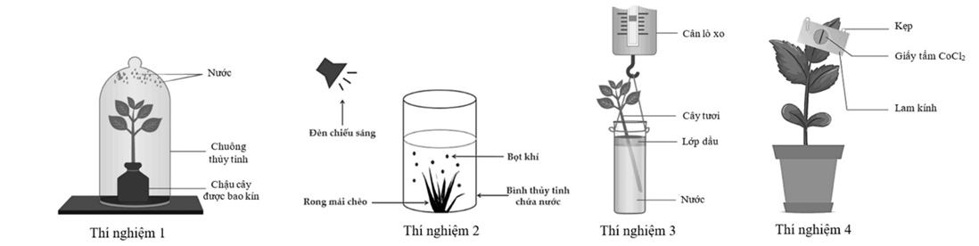 Hình ảnh bên dưới mô tả bốn thí nghiệm về quá trình trao đổi vật chất và năng lượng ở thực vật (ảnh 1)