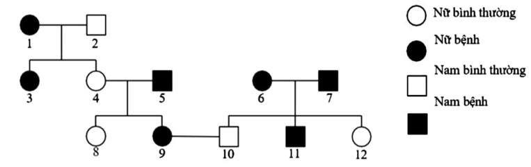 Sơ đồ phả hệ bên dưới mô tả sự di truyền một bệnh ở người, bệnh do một gen có 2 alen quy định (ảnh 1)