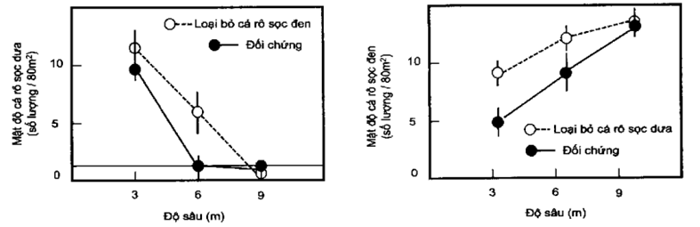 Mật độ của cá rô sọc dưa và cá rô sọc đen ở các độ sâu khác nhau khi loại bỏ  (ảnh 1)