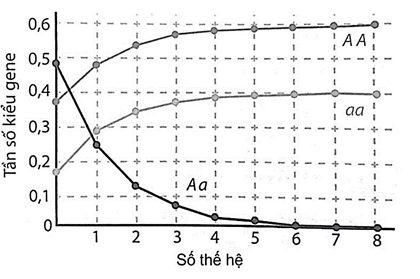 Hình bên mô tả sự biến đổi tần số ba kiểu gen AA, Aa, aa ở một quần thể thực vật (ảnh 1)