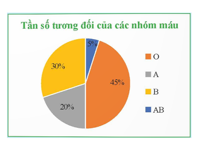 Khảo sát ngẫu nhiên 200 người về nhóm máu của họ. Kết quả thu được thể hiện ở biểu đồ hình quạt tròn như hình bên.   Hãy cho biết nhóm máu nào phổ biến nhất, nhóm máu nào hiếm nhất. (ảnh 1)