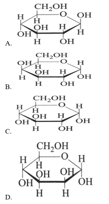 Công thức nào dưới đây phù hợp với công thức cấu tạo của β-glucose? (ảnh 1)