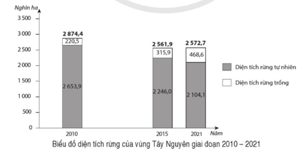 Vẽ biểu đồ thể hiện diện tích rừng của Tây Nguyên, trong đó có diện tích rừng tự nhiên và diện tích rừng trồng giai đoạn 2010 - 2021. (ảnh 1)