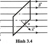 Một mặt có diện tích \(S = 4,0{\rm{d}}{{\rm{m}}^2}\) được đặt trong từ truờng đều và tạo với cảm ứng từ góc   (Hình 3.4). Từ thông qua mặt S là \(\Phi  = 12{\rm{mWb}}.\) Độ lớn của cảm ứng từ là bao nhiêu tesla (kết quả được viết đến hai chữ số thập phân)? (ảnh 1)