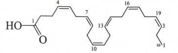 Phát biểu nào sau đây về acid omega-3 và omega-6 là không đúng?  A. Các acid omega-3 và omega-6 có tác dụng giảm huyết áp, giảm cholesterol trong cơ  (ảnh 2)