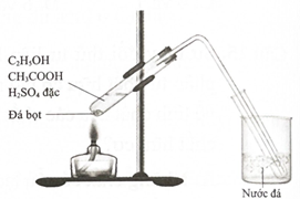 Các ester có nhiều ứng dụng trong đời sống: một số ester có mùi thơm dễ chịu, không độc, được dùng làm hương liệu trong thực phẩm, (ảnh 1)