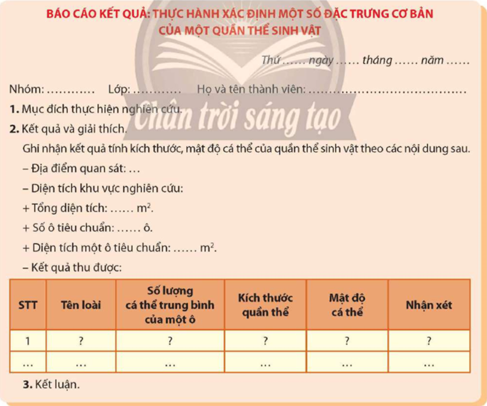 Viết và trình bày báo cáo theo mẫu: (ảnh 1)