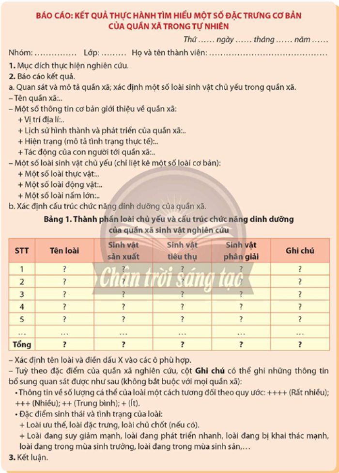 Viết và trình bày báo cáo theo mẫu: (ảnh 1)