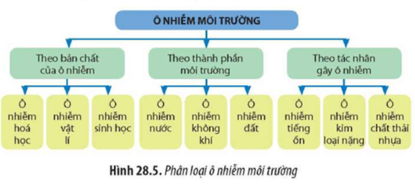 Quan sát Hình 28.5, hãy liệt kê thêm một số loại ô nhiễm môi trường theo tác nhân gây ô nhiễm. (ảnh 1)