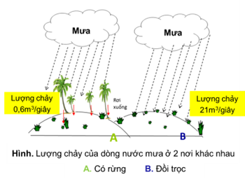 Quan sát hình, so sánh lượng chảy của dòng nước mưa trên mặt đất ở 2 nơi có rừng với đồi trọc và giải thích tại sao có sự khác đó. Lượng chảy của dòng nước mưa có ảnh hưởng như thế nào đến độ màu mỡ và khả năng giữ nước của đất? Từ đó cho biết có rừng che phủ hay trên đồi, núi trọc dễ bị xói mòn, sạt lở, hạn hán hơn.   (ảnh 1)