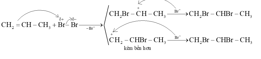 Viết cơ chế để giải thích quá trình tạo thành các sản phẩm của phản ứng giữa propene với bromine. (ảnh 1)