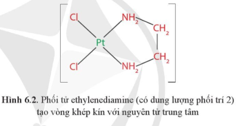 Mỗi loại phối tử trong phức chất ở Hình 6.2 có dung lượng phối trí là bao nhiêu? (ảnh 1)