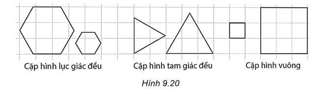 Trong các cặp hình đồng dạng dưới đây, cặp hình nào là đồng dạng phối cảnh? (ảnh 1)